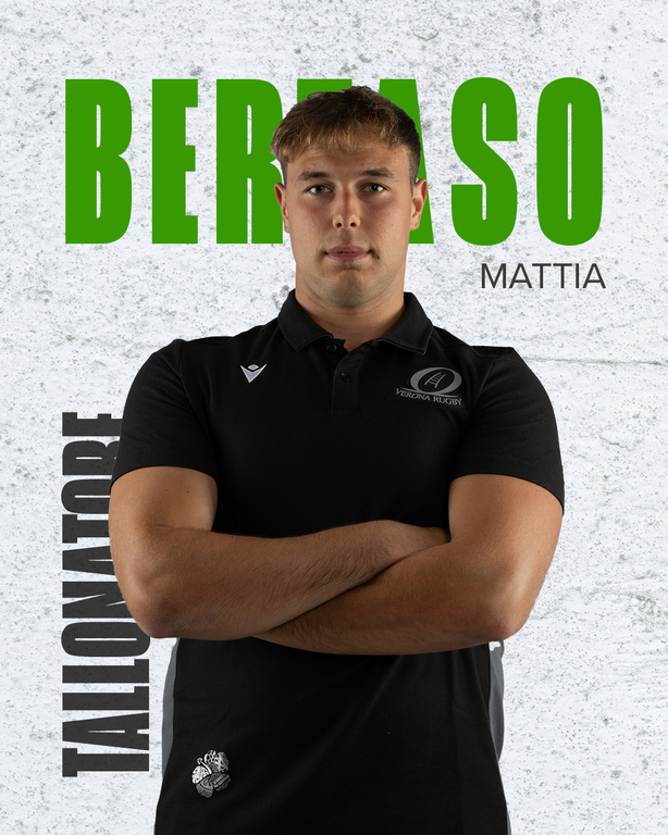 bertaso grafica card
