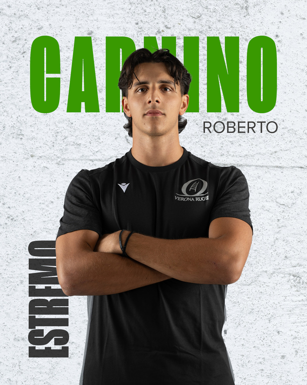 carnino grafica card