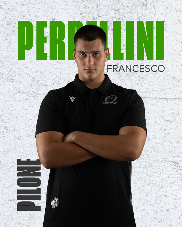 perbellini grafica card