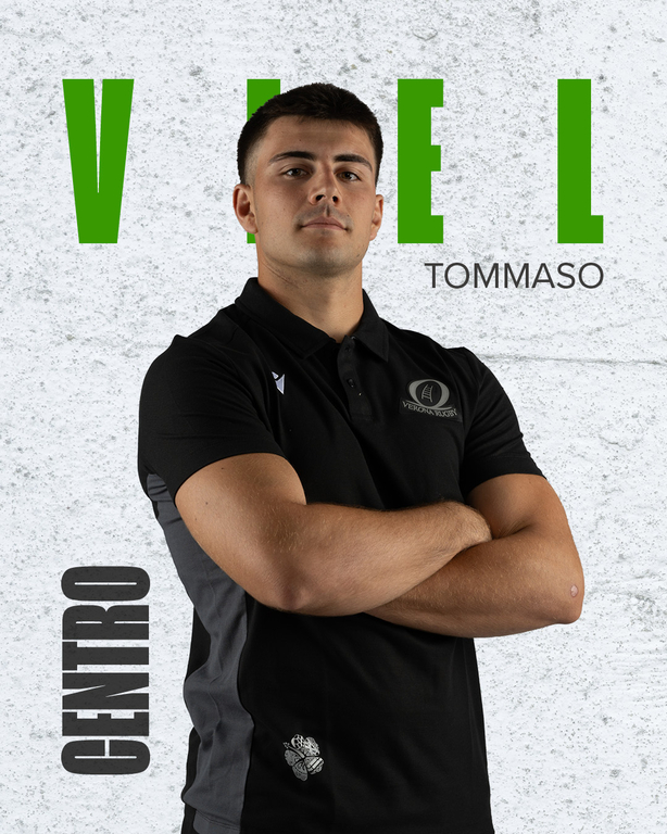 viel grafica card