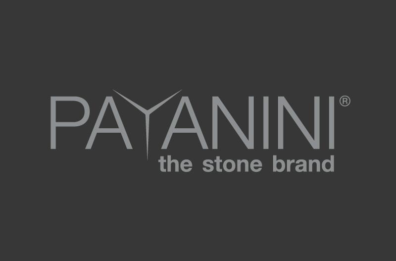 Logo sponsor payanini
