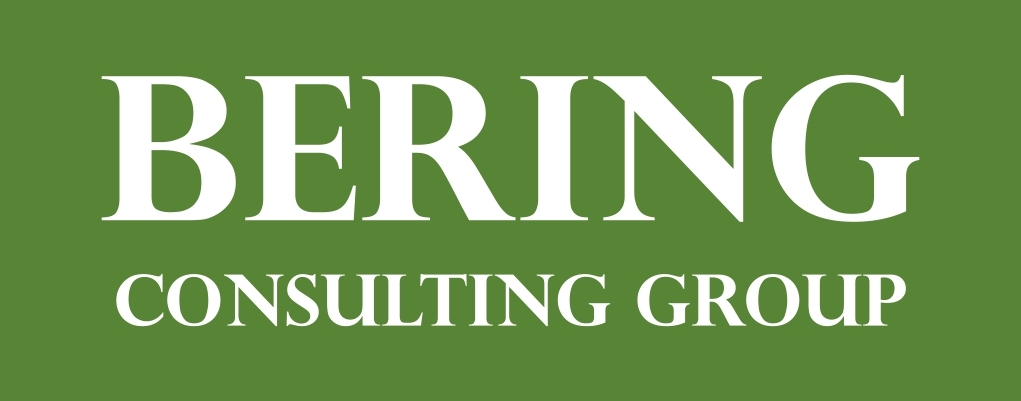 Logo Bering page 0001