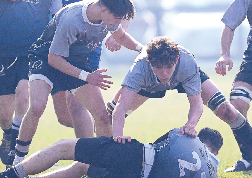U16 generica 01