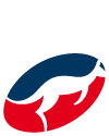 rugby paese